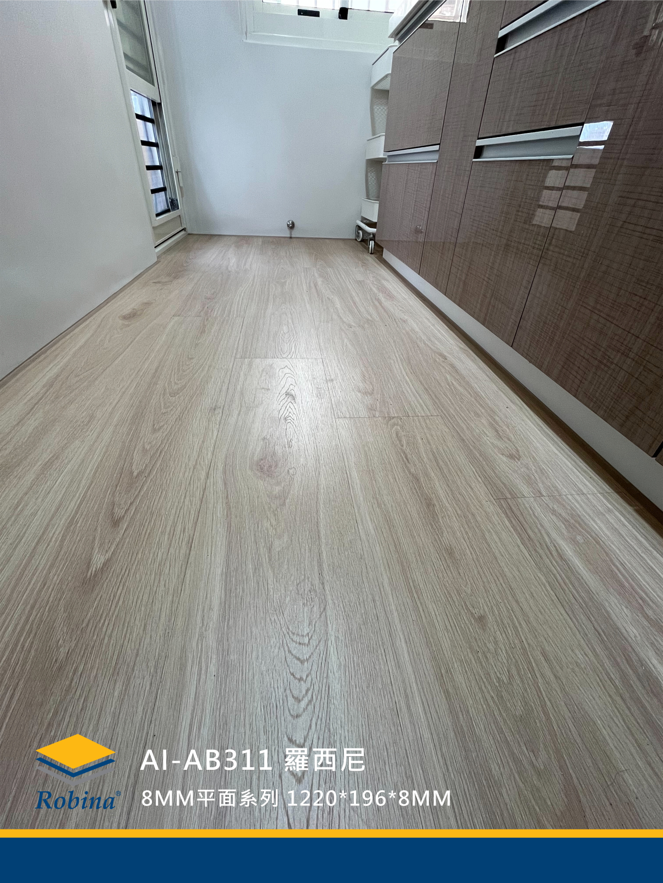 AB311 羅西尼